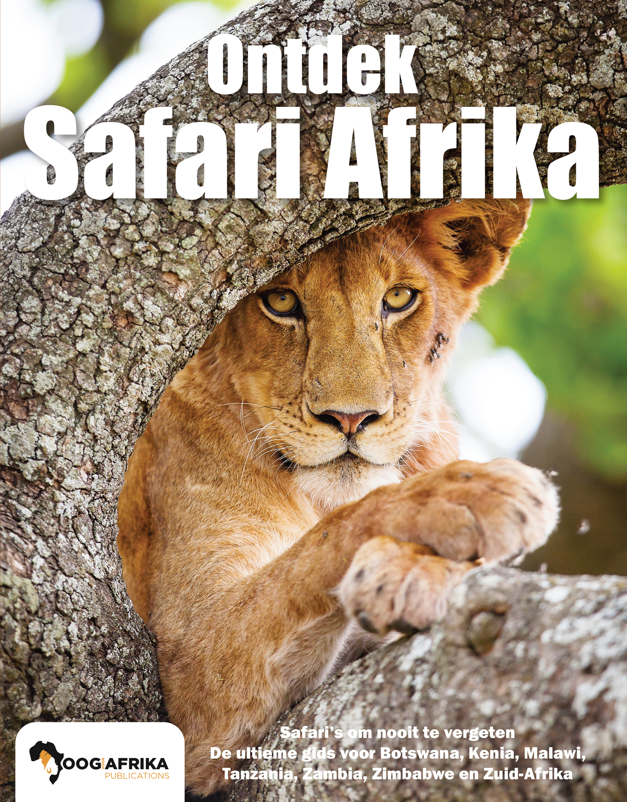 OOG voor Afrika
