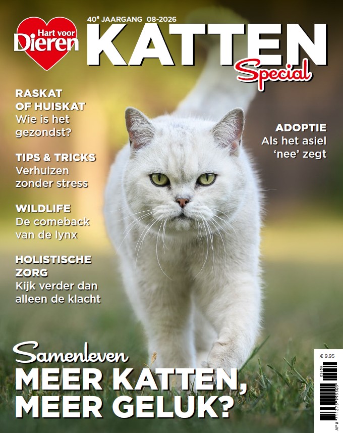 Hart voor Dieren