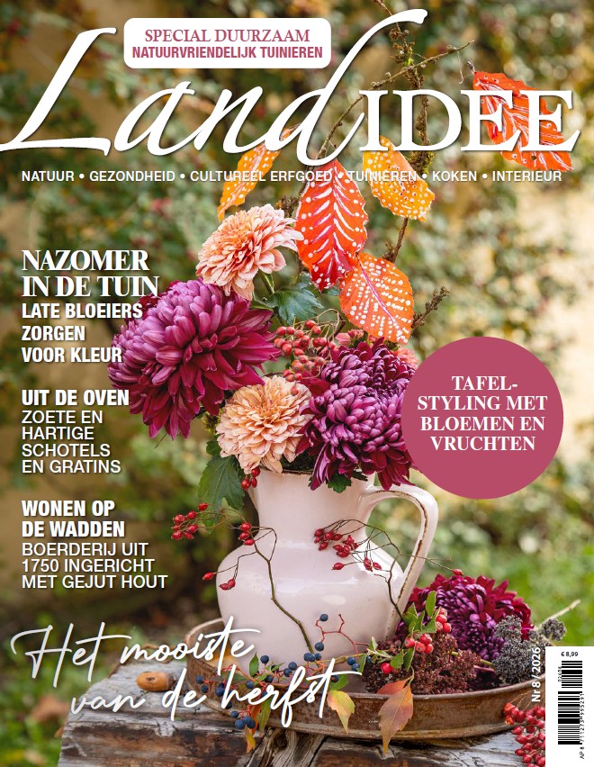 LandIdee
